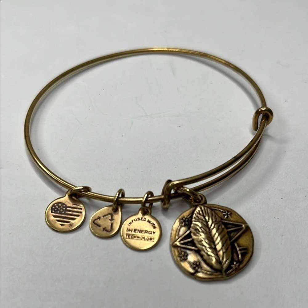 Alex and ANI Godspeed II Brass Bangle Bracelet Expandable